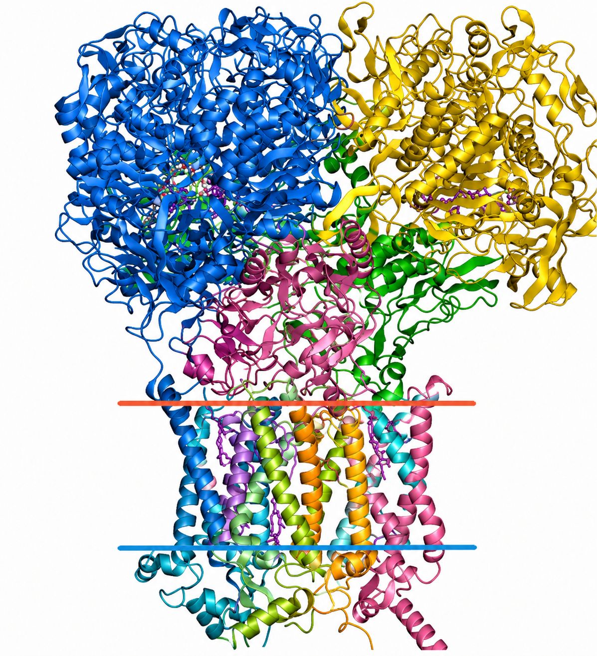 Structural Bioinformatics